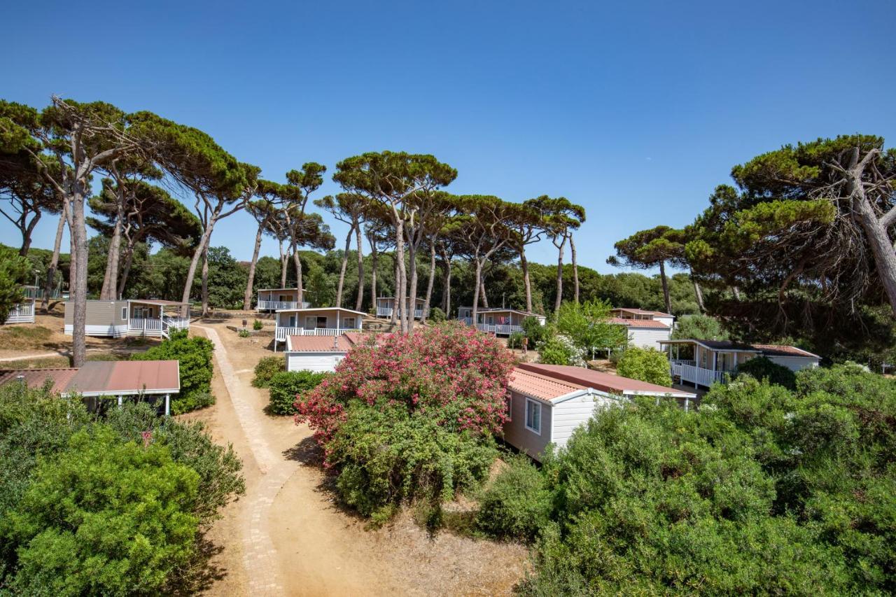 Parco Della Gallinara Lido dei Pini Extérieur photo