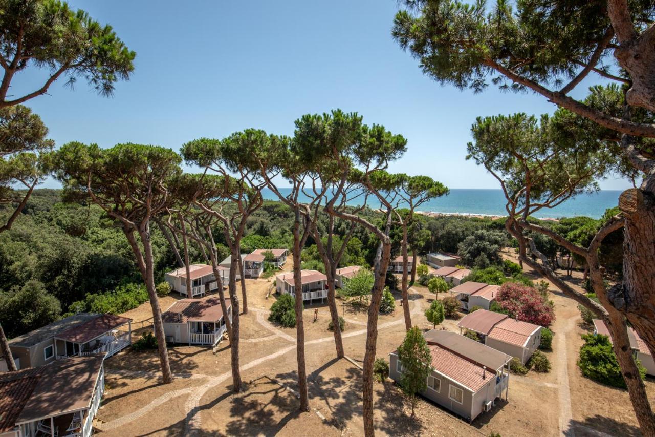 Parco Della Gallinara Lido dei Pini Extérieur photo